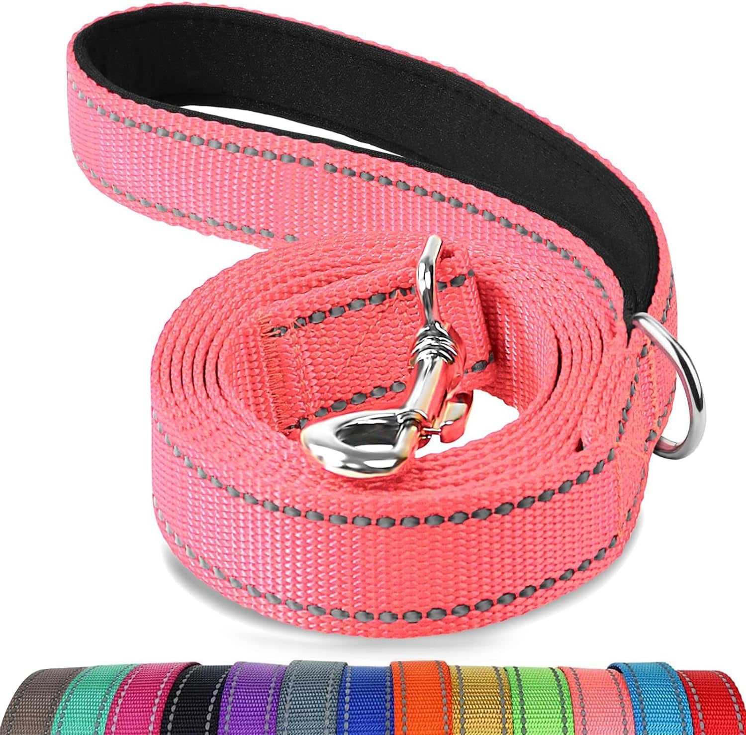 Heavy Duty Nylon Dog Leash