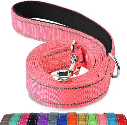 Heavy Duty Nylon Dog Leash