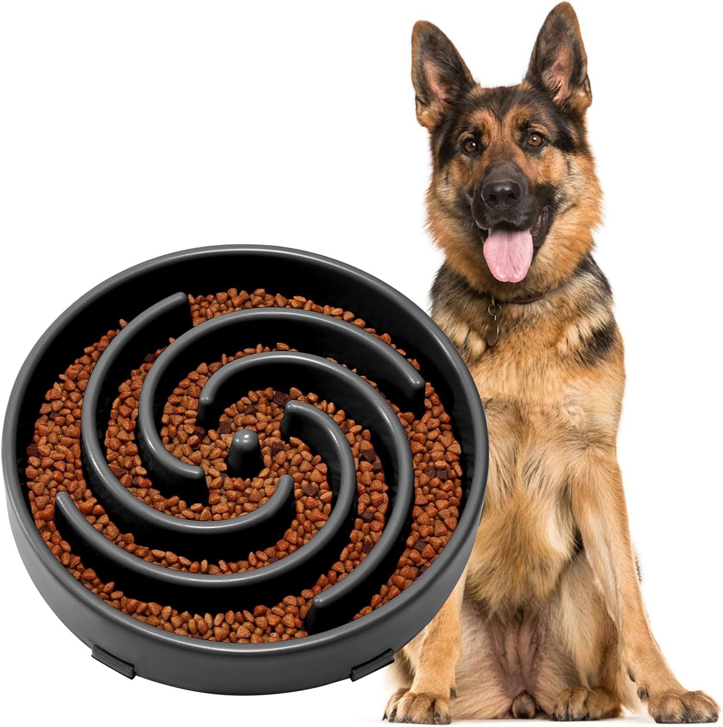 Slow Feeder Dog Bowl 
