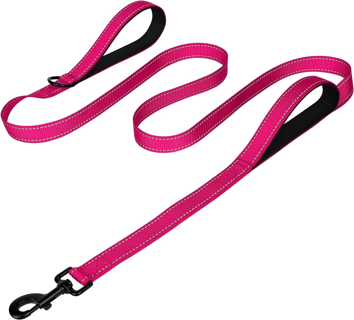 Heavy Duty Nylon Dog Leash