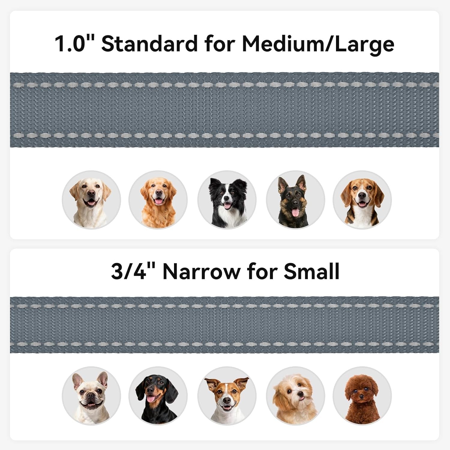 Heavy Duty Nylon Dog Leash