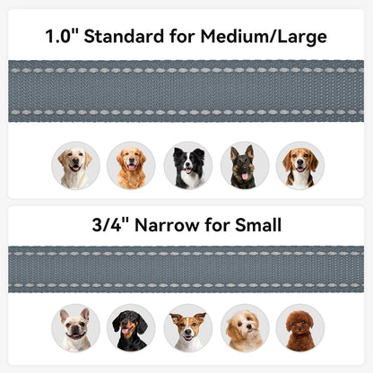 Heavy Duty Nylon Dog Leash