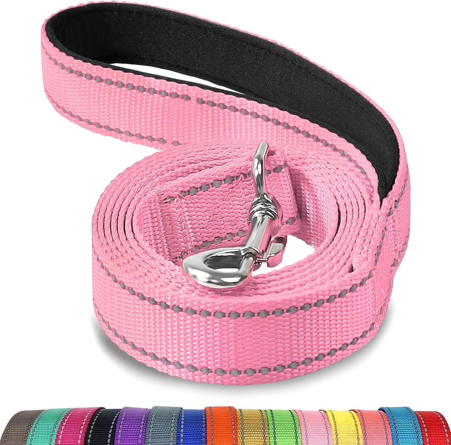 Heavy Duty Nylon Dog Leash