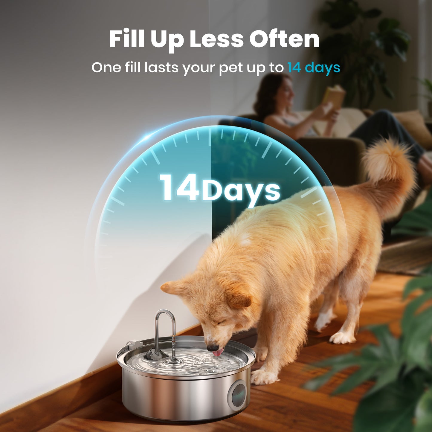 Ultimate 7L Stainless Steel Dog Water Fountain with Triple Filtration & Visual Window - Perfect for Large Dogs and Multiple Pets