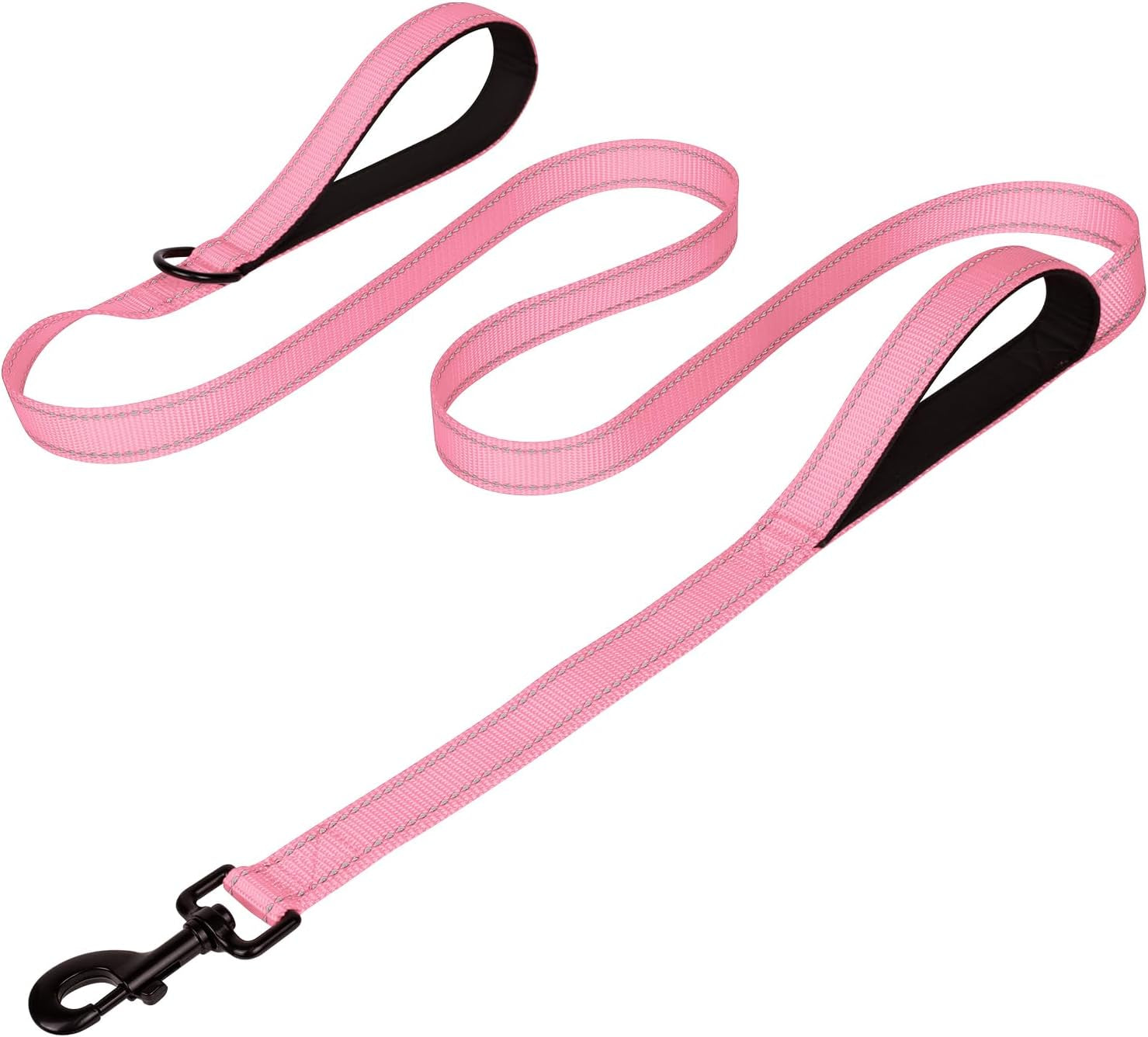 Heavy Duty Nylon Dog Leash