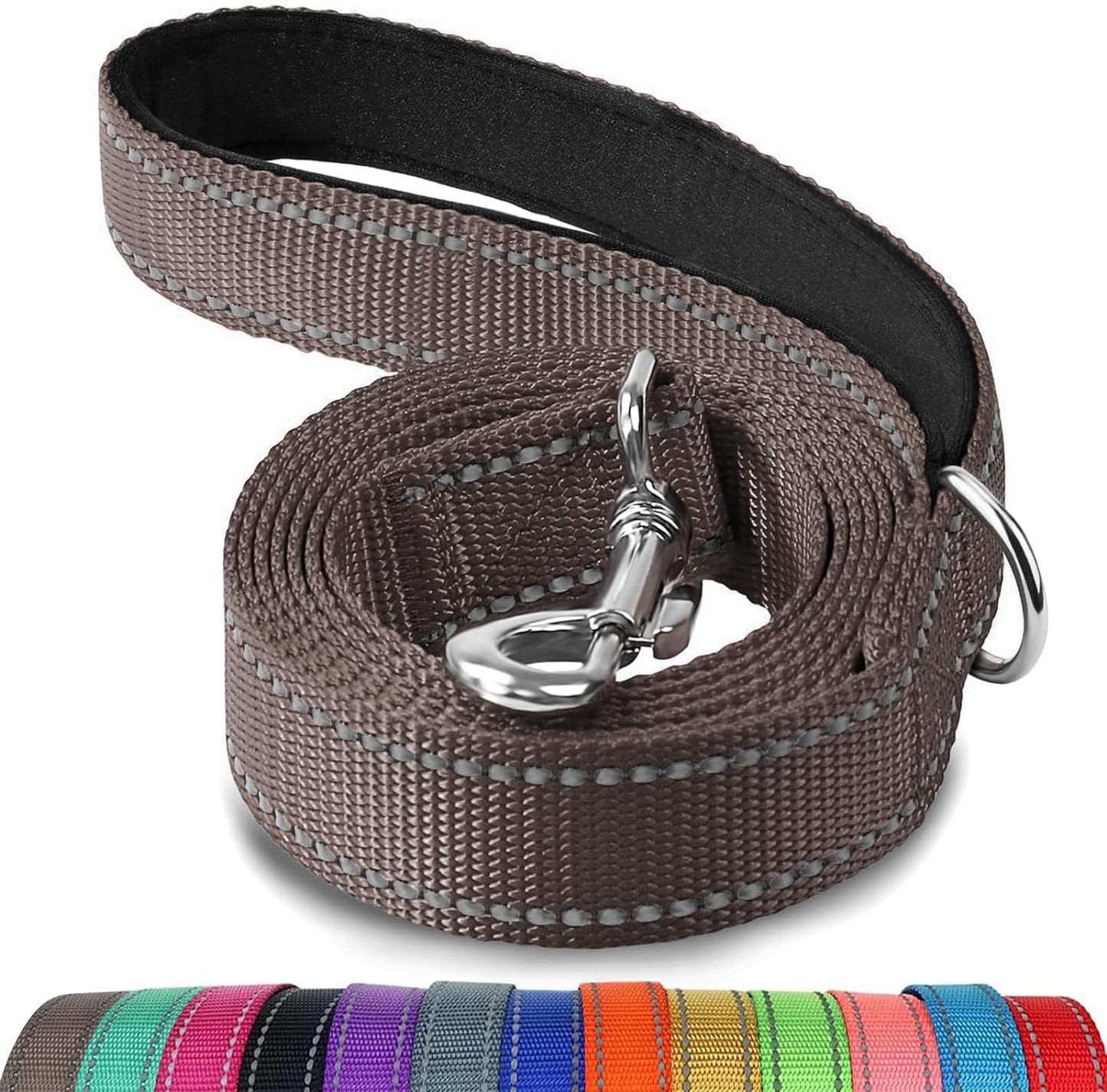 Heavy Duty Nylon Dog Leash