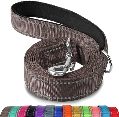 Heavy Duty Nylon Dog Leash