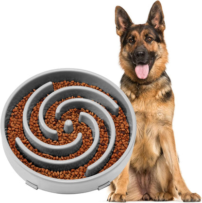 Slow Feeder Dog Bowl 