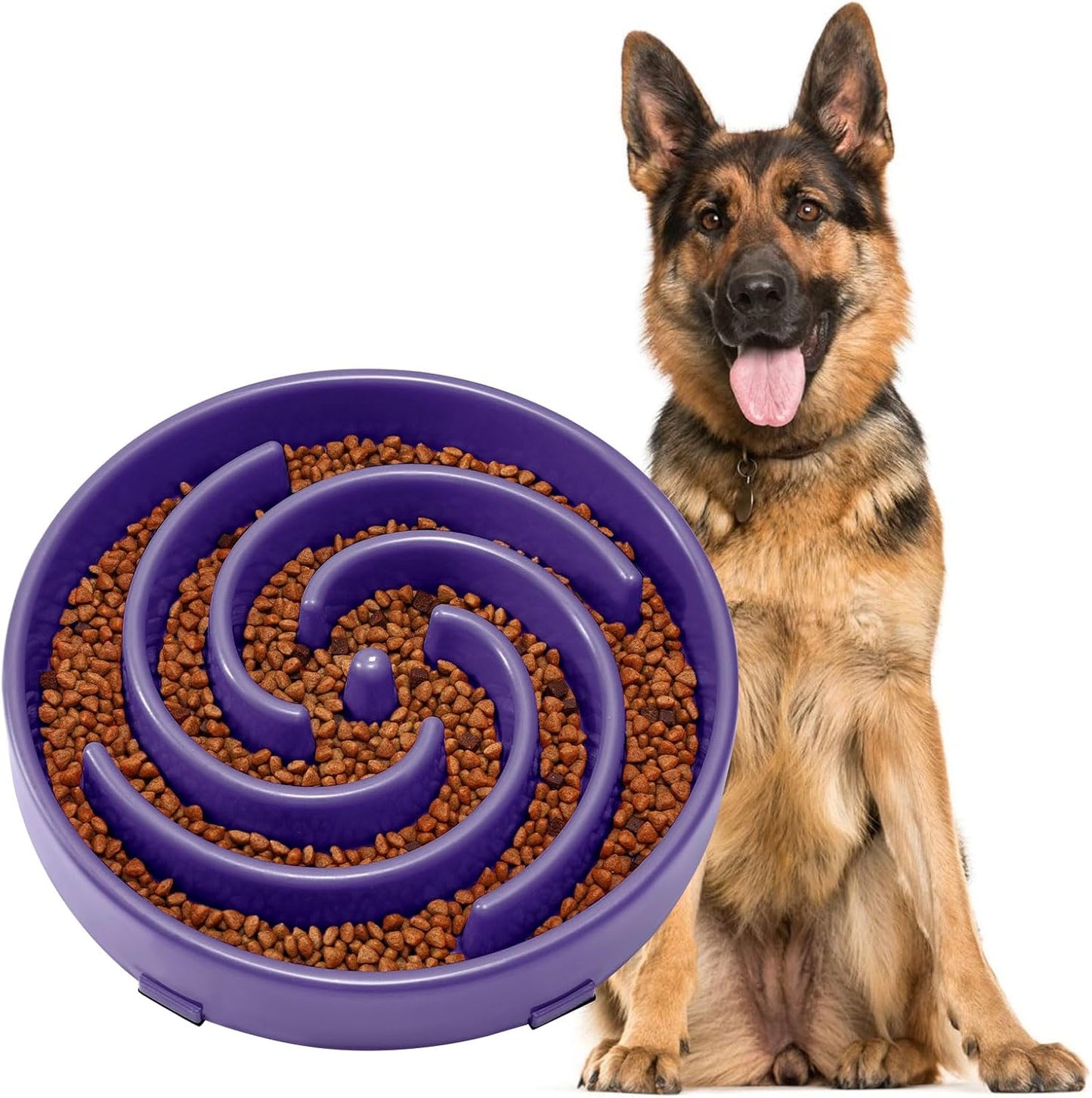 Slow Feeder Dog Bowl 