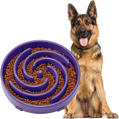 Slow Feeder Dog Bowl 