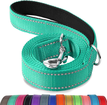 Heavy Duty Nylon Dog Leash