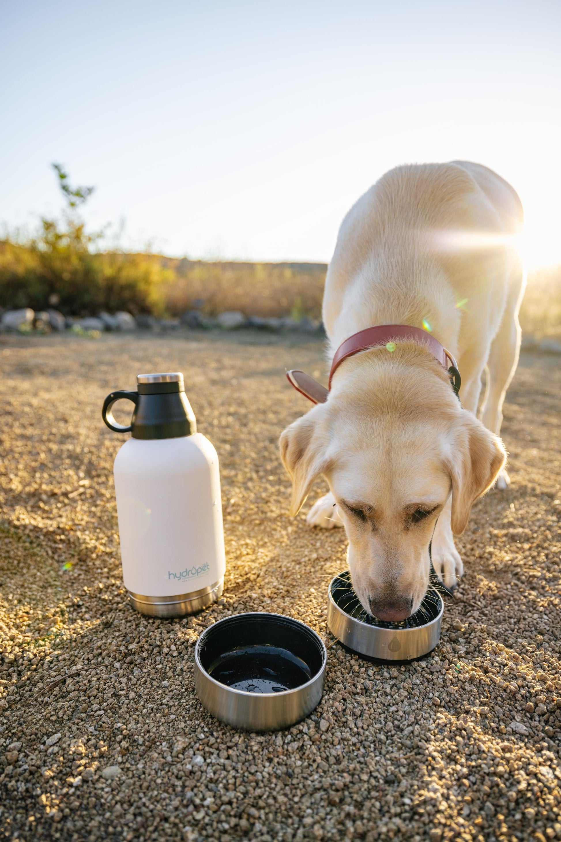 Hydropet Stainless Steel Dog Water Bottle with Dual Bowls and Neoprene Carrying Bag