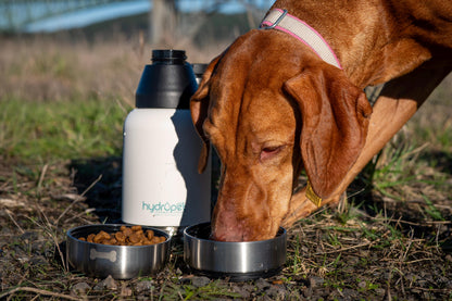 Hydropet Stainless Steel Dog Water Bottle with Dual Bowls and Neoprene Carrying Bag