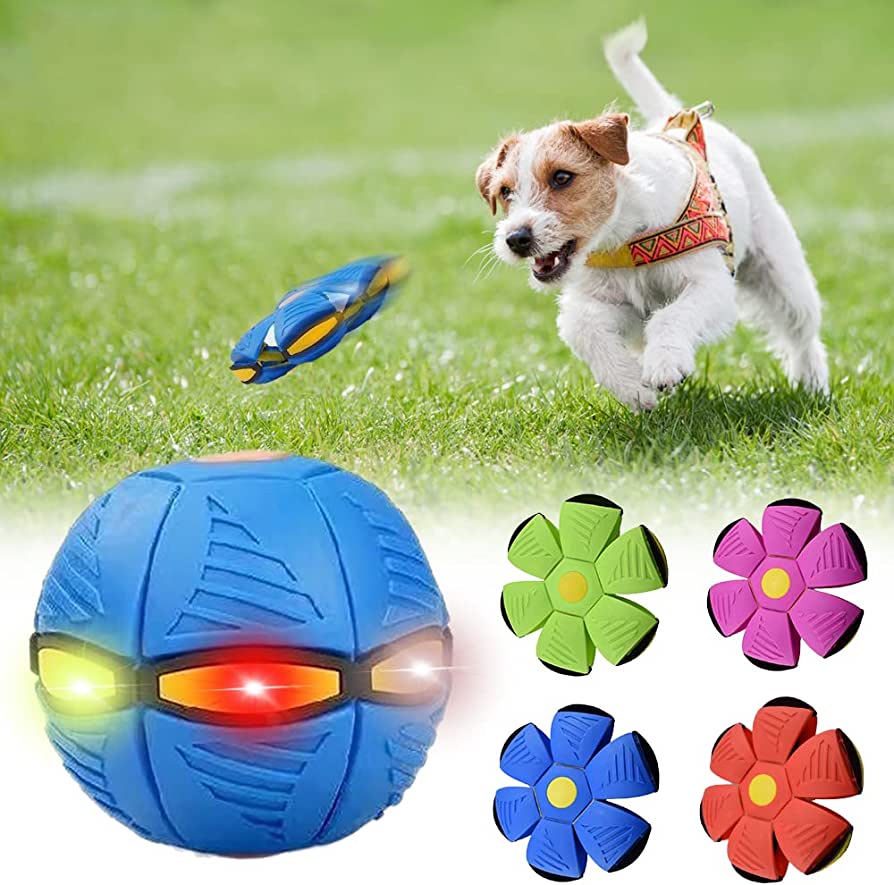 Pawesome Pets™ Super-Soar Frisbee