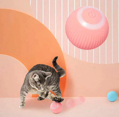 Pawesome Pets  Interactive Ball