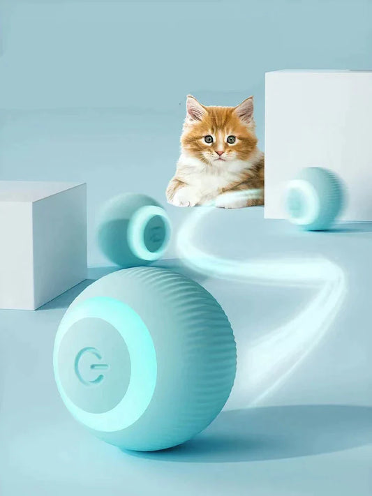 Pawesome Pets  Interactive Ball